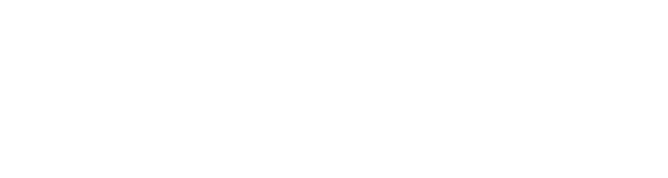 Main Logo